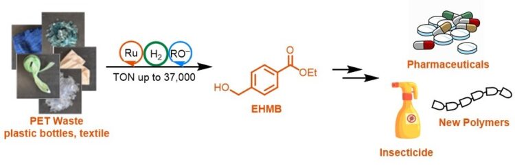 Groundbreaking discovery turns household plastic recycling into anti-cancer medication